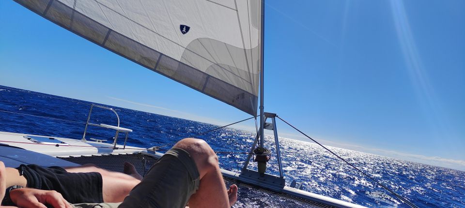 Tenerife: PRIVATE Catamaran Cruise With Lunch and Drinks - Recap