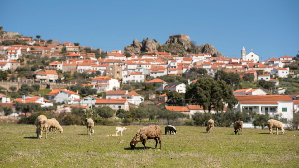 The Most Portuguese Village in Portugal - Tour - Discovering Monsanto