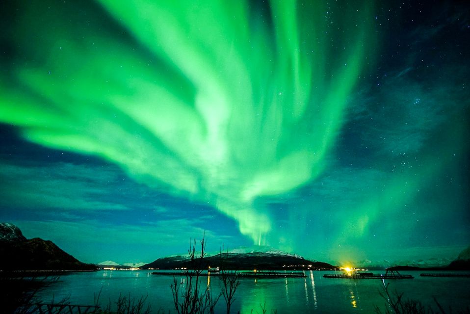 Tromsø: Northern Lights Chase Minibus Tour With Campfire - Frequently Asked Questions