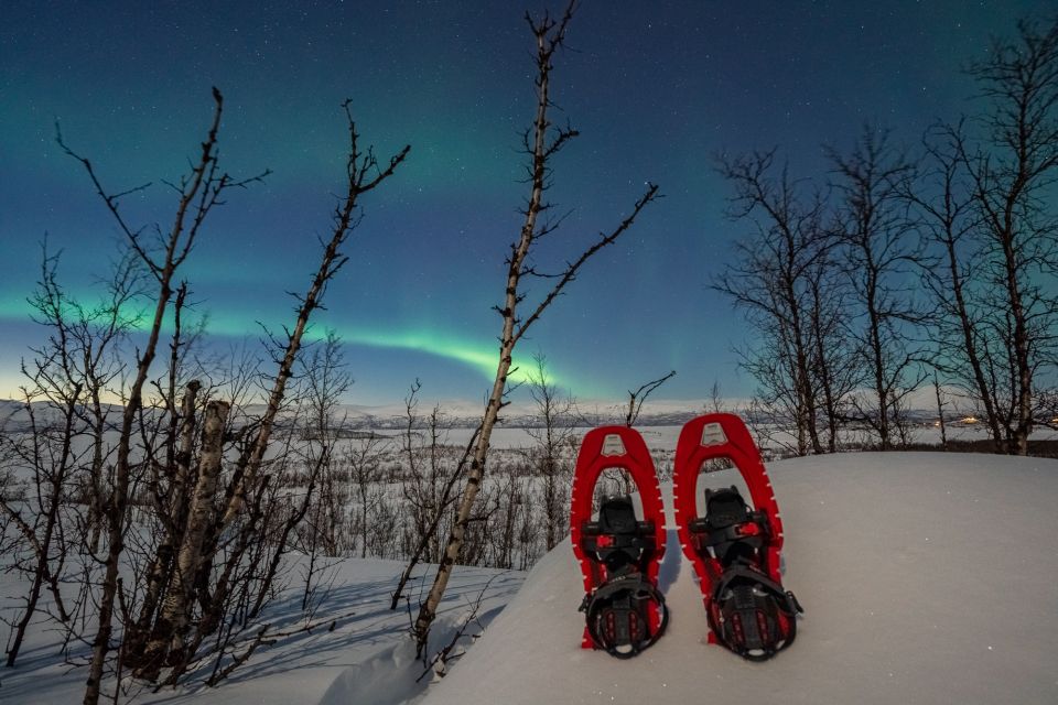 Abisko: Aurora Snowshoeing - Key Points