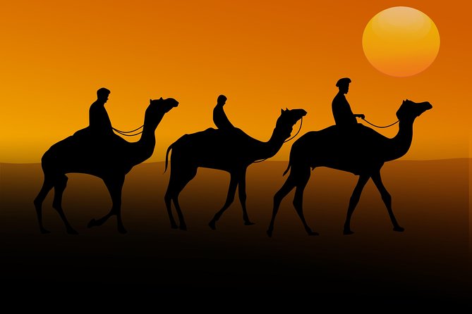 Abu Dhabi Desert Safari For 6-Hour Include BBQ Dinner - Key Points