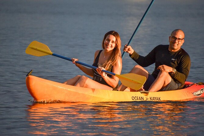 Afternoon Kayak and Paddleboard Tours in Condado Lagoon - Key Points