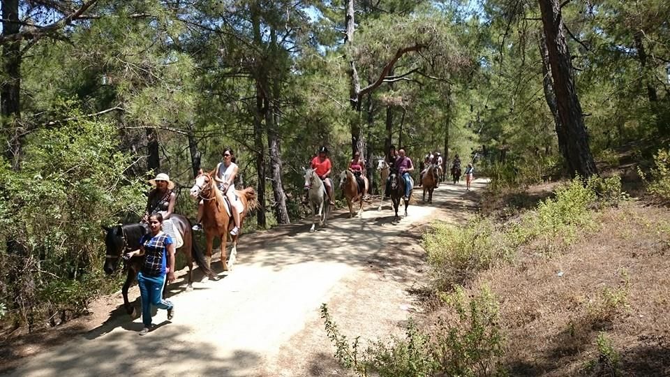 Alanya: Horse Riding Adventure - Key Points