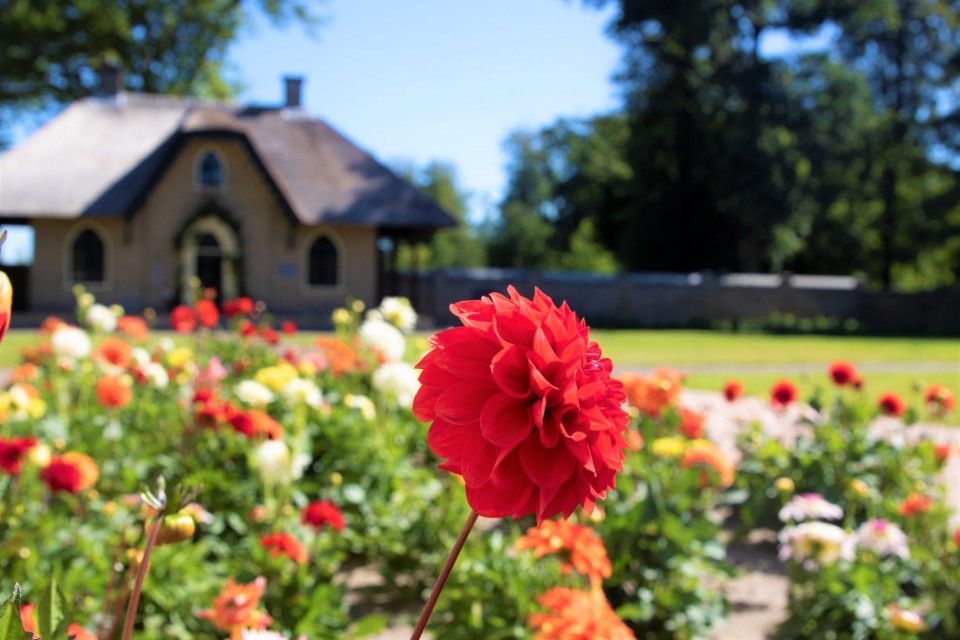 Amsterdam: Day Trip Keukenhof Summerflowers and Flowerfarm - Key Points