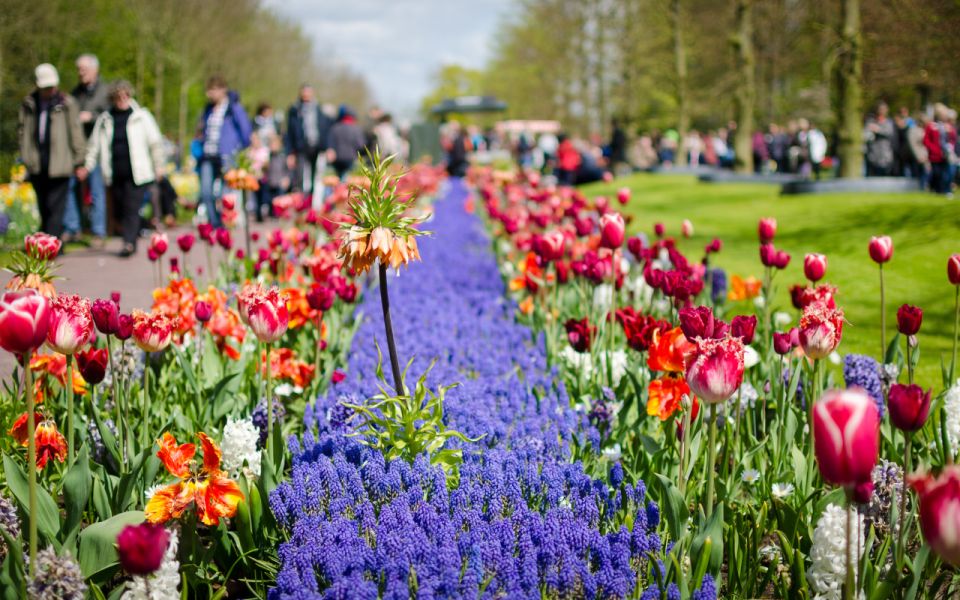 Amsterdam: Keukenhof and Zaanse Schans Windmills Day Trip - Key Points