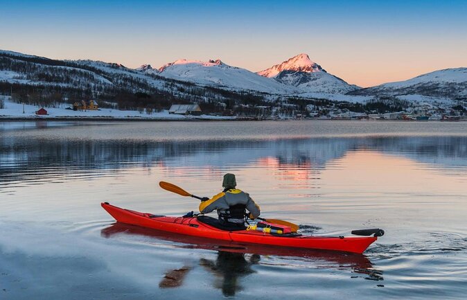 Arctic Fjordcruise & Safari in Tromso With Luxury Catamaran - Key Points