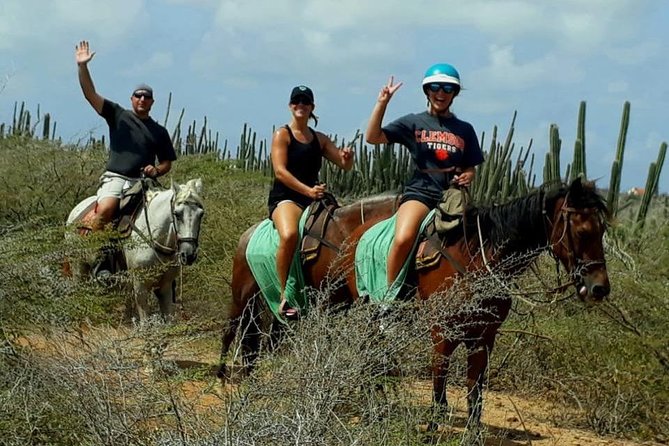 Aruba Countryside: Horseback Adventure to Urirama Cove - Overview of the Adventure