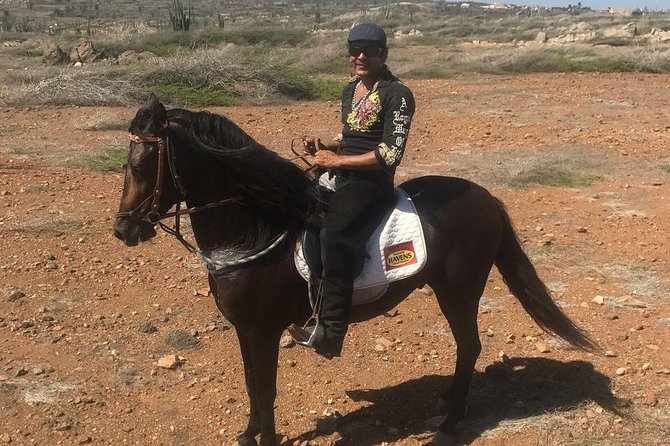 Aruba Horseback Riding Tour For Advanced Riders - Scenic Countryside Views