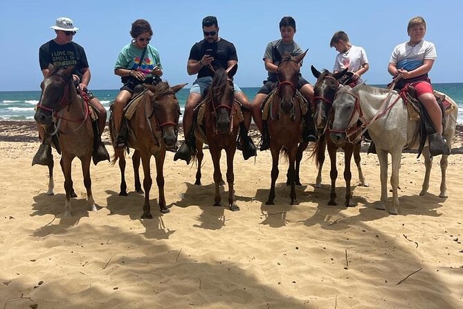 Beach Horseback Ride Tour at Punta Cana - Tour Details