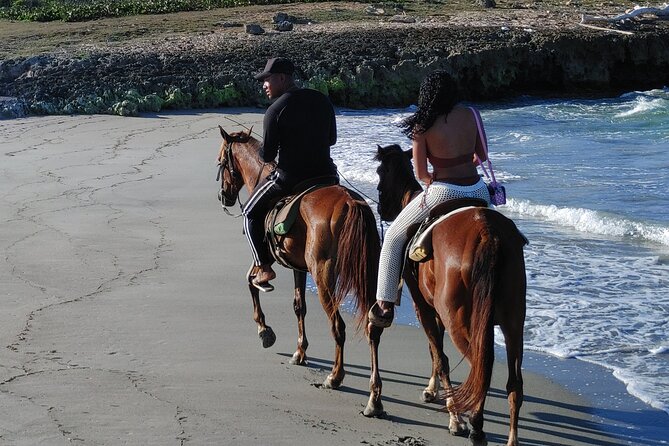 Beach Macao Horseback Riding From Punta Cana - Tour Highlights