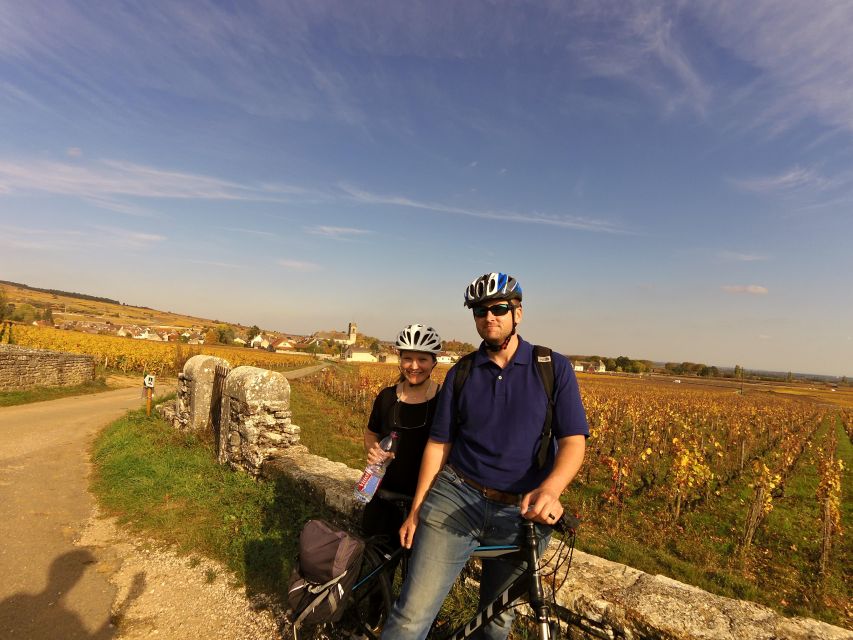 Beaune: Winery Tour by Bike With Wine Tasting - Key Points