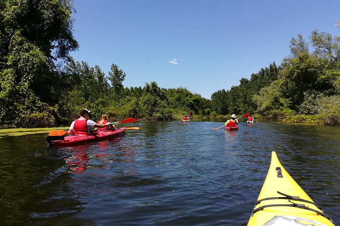 Belgrade Amazon Kayak Adventure - Key Points