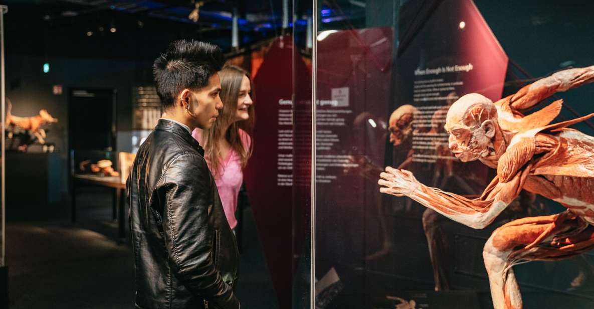 Berlin: Tickets for the BODY WORLDS Museum in Berlin - Key Points