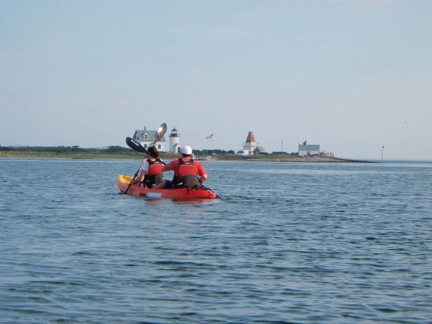 Biddeford Pool: Half Day Kayak or SUP Rental - Key Points