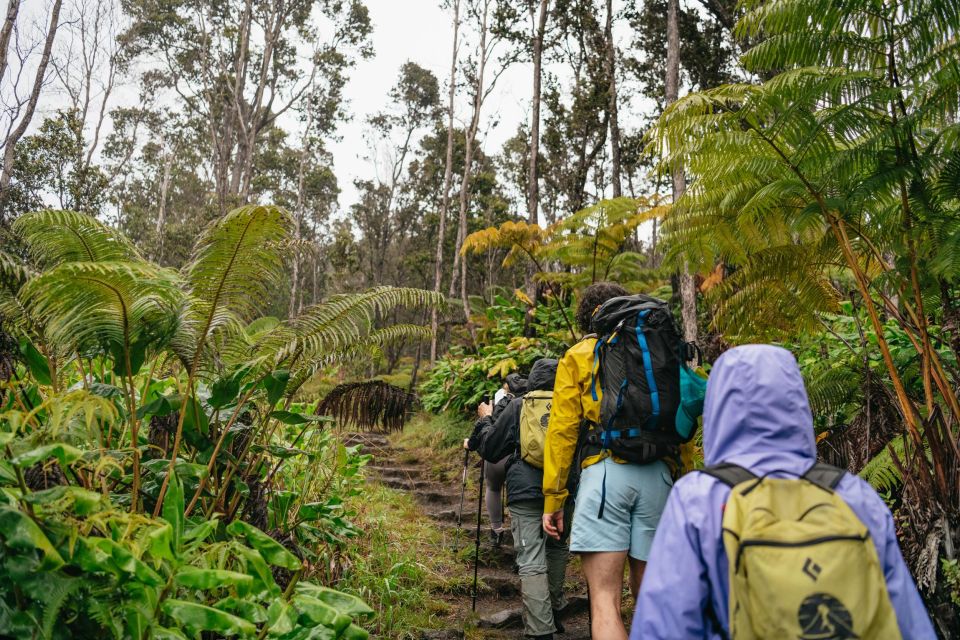 Big Island: Hawaii Volcanoes National Park Guided Hike - Key Points