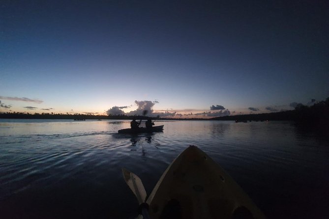 Bioluminescent Bay Night Kayaking, Laguna Grande, Fajardo - Bioluminescent Bay Experience