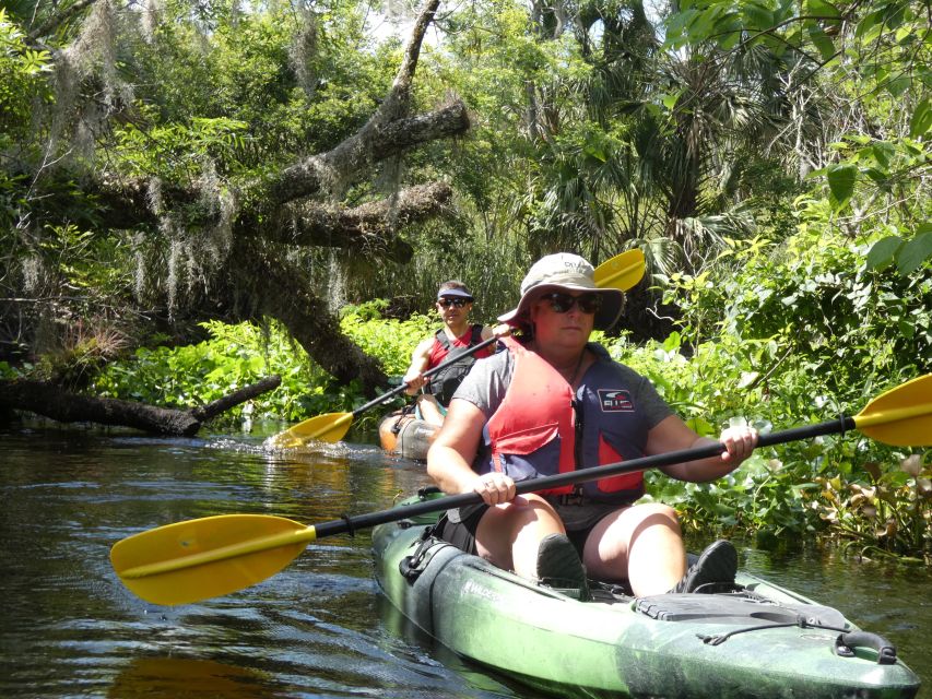 Blackwater Creek: Exclusive Nature Escape Kayak Adventure - Key Points