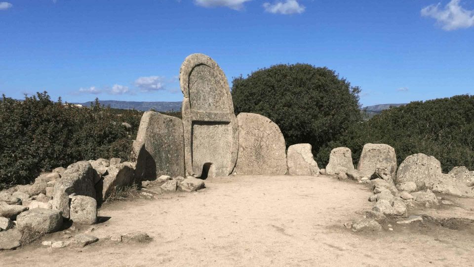 Blue Zone: Tour Among the Secrets of Sardinians Longevity - Key Points