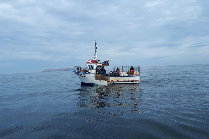 Boat and Kayak at Berlenga Natural Reserve - Overview of the Tour