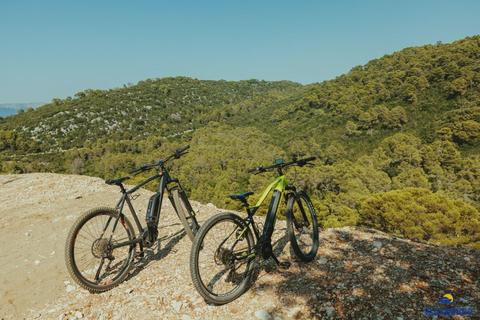 Boat Tour From Ston to Mljet National Park - Key Points