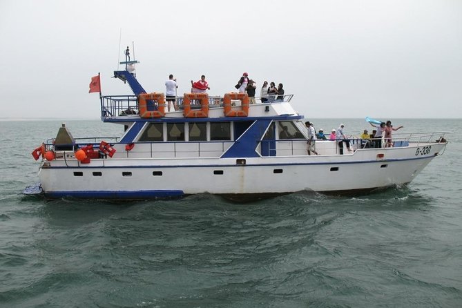 Boat Tours in Agadir Lunch Including ( See Food ) - Key Points