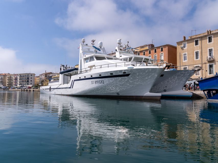 Boat Walk in Sete on the Singular Island 1 Hour - Key Points