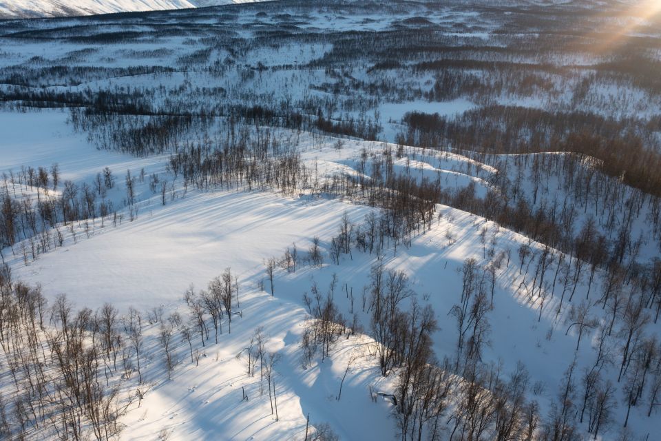 Breivikeidet: Introduction to Cross-Country Skiing - Key Points