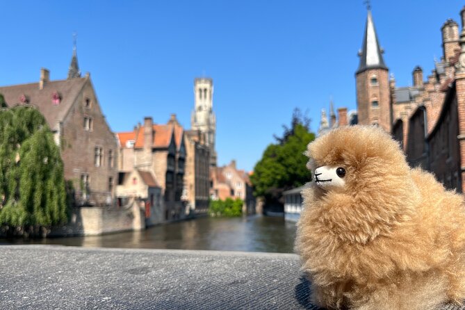 Bruges & Ghent Private Tour From Paris With Tastings - Key Points