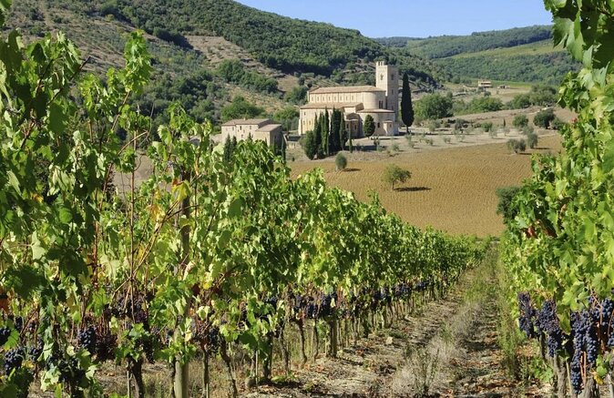 Brunello Vineyards Bus Tour - Key Points