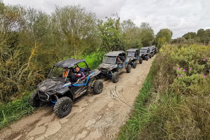 Buggy 2-seater and 4-seater Off-On Road Tour in Mallorca - Tour Details