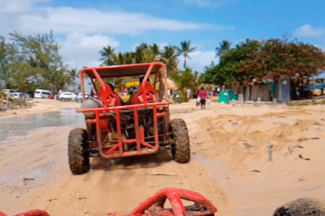 Buggy in Punta Cana Cenotes, Beach and Adventure - Key Points