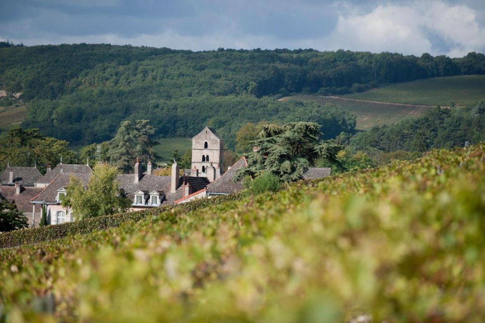 Burgundy: Guided Vineyard and Winery Tour With Wine Tasting - Key Points