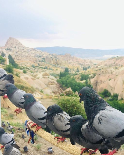 Cappadocia Green Tour - Key Points