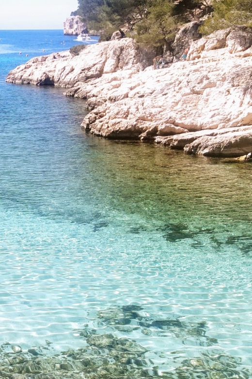 Cassis: Calanques National Park Standup Paddleboarding Tour - Key Points