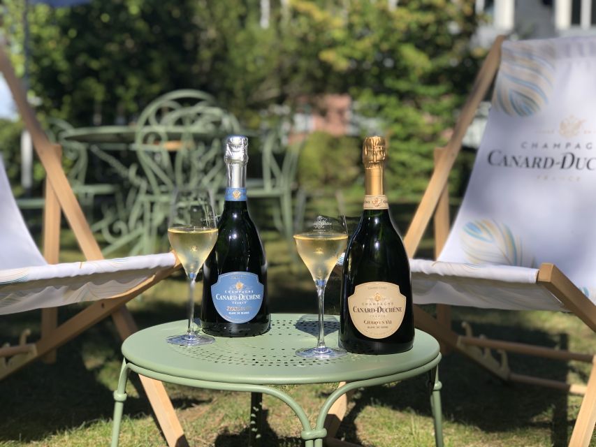 Champagne: Organic Champagne Tasting - Key Points