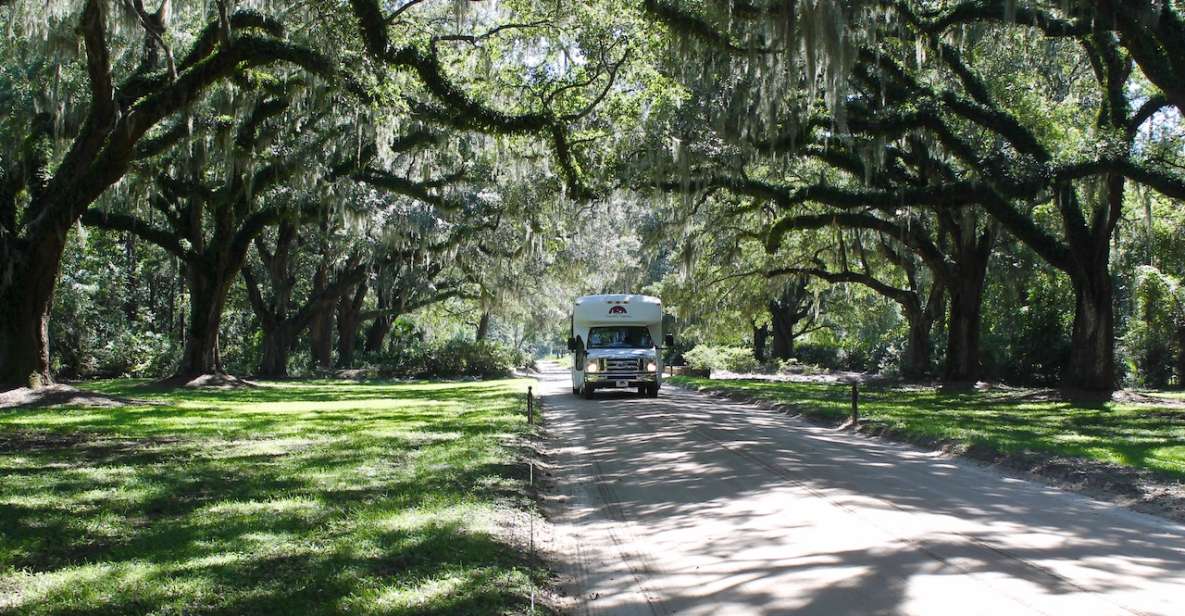 Charleston: Boone Hall Plantation Entry & Tour W/ Transport - Plantation Experience