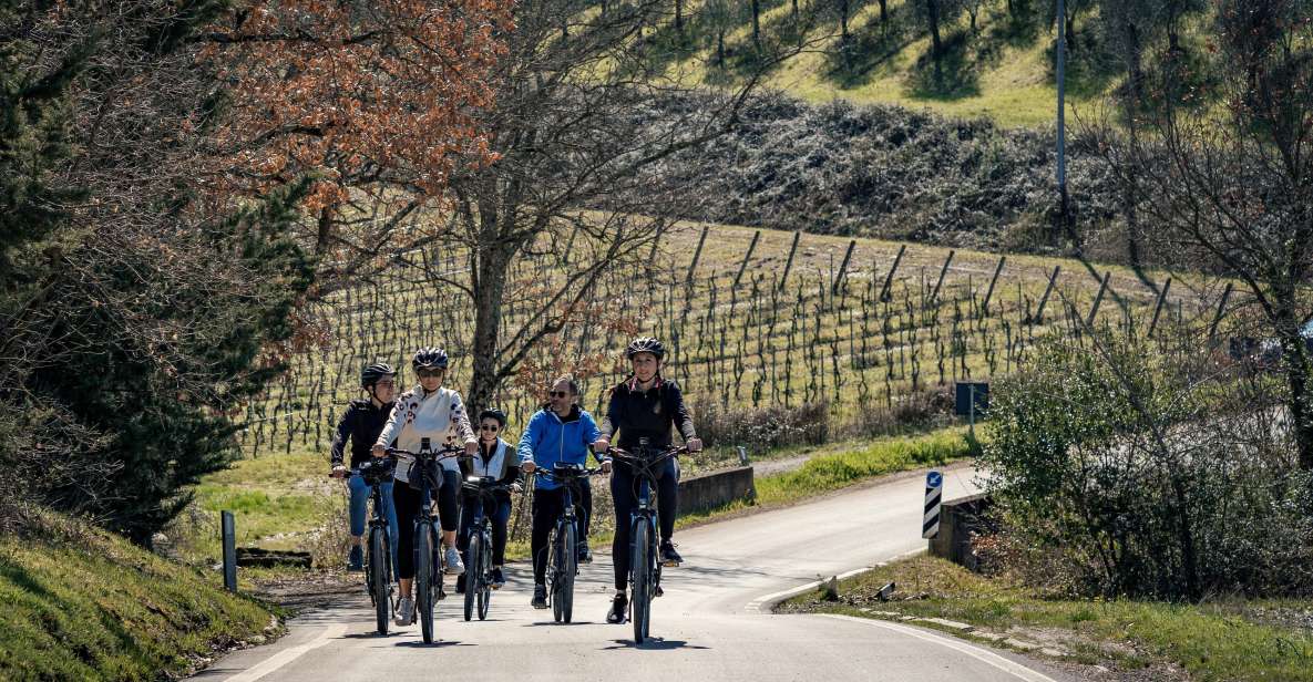 Chianti Classico: E-Bike Tour With Lunch and Tastings - Key Points