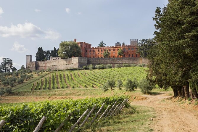 Chianti Classico E-Bike Tour - Key Points