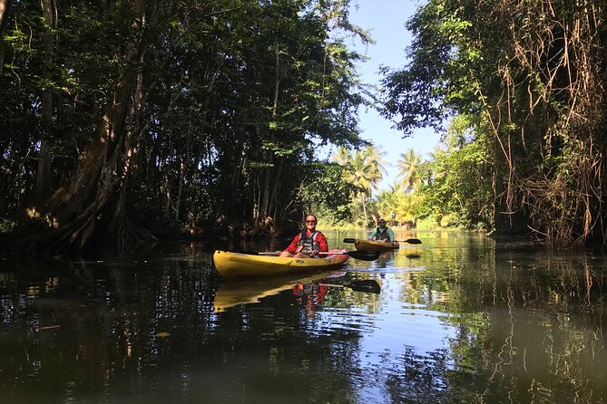 Coastal and River Kayaking Adventure at Marigot Bay - Whats Included in the Tour