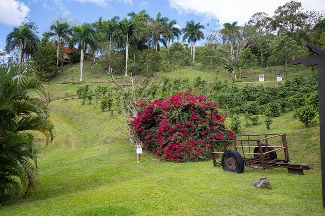 Coffee Lovers Tour in Puerto Rico - Inclusions and Additional Costs