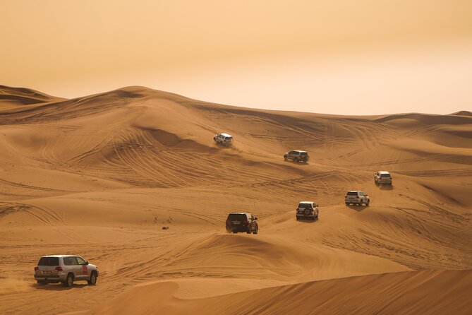 Combo Tour- Dubai City Tour & Evening Desert Safari - Key Points