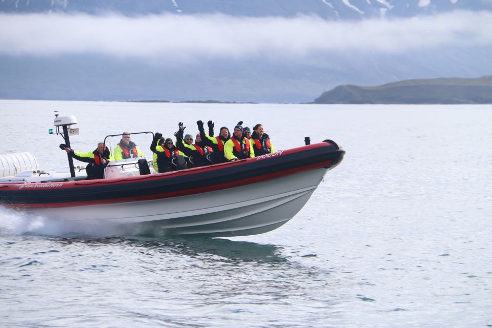 Dalvík: Whale Watching Speedboat Tour - Key Points