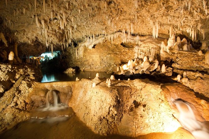 Day Tour Including Harrisons Cave St. Nicholas Lunch and Monkeys - Key Points