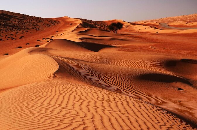 Desert Experience - Private Wahiba Sands Full Day Tour - Key Points