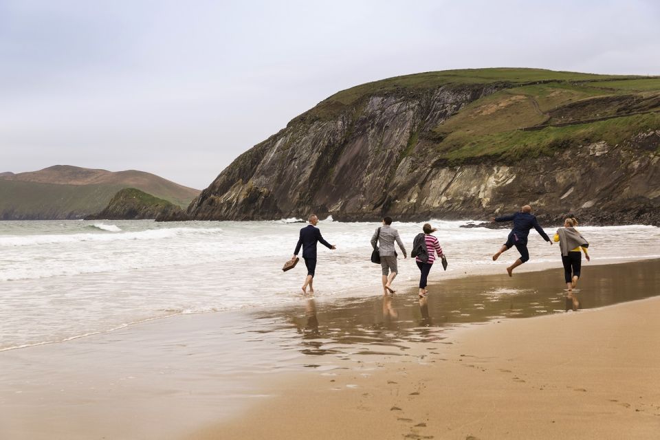 Dingle Day Tour From Limerick - Key Points