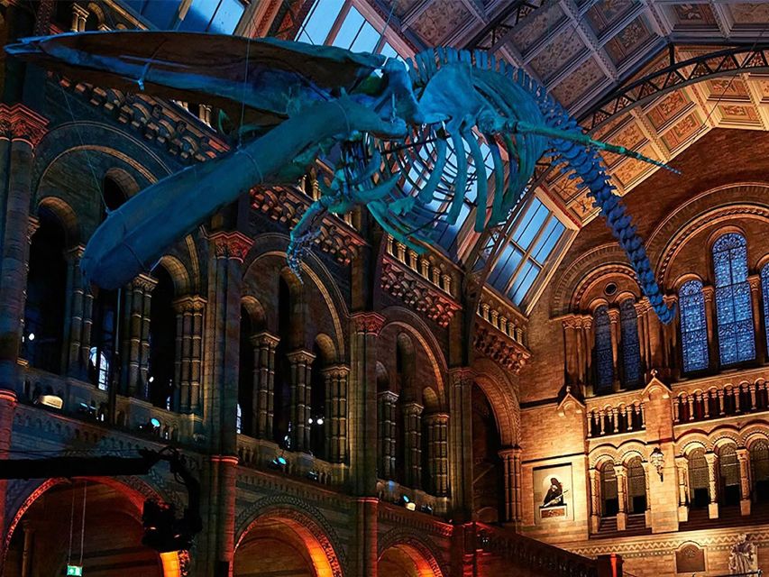 Discover Londons Natural Wonders: Museum Expedition - Key Points