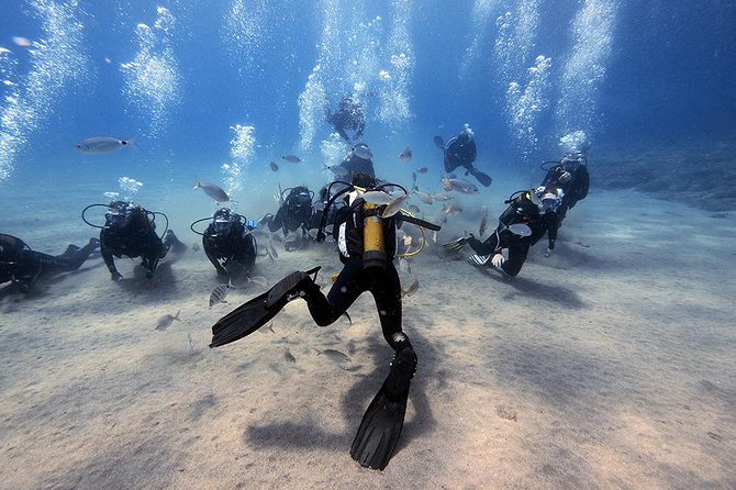 Discover Scuba Diving - Key Points