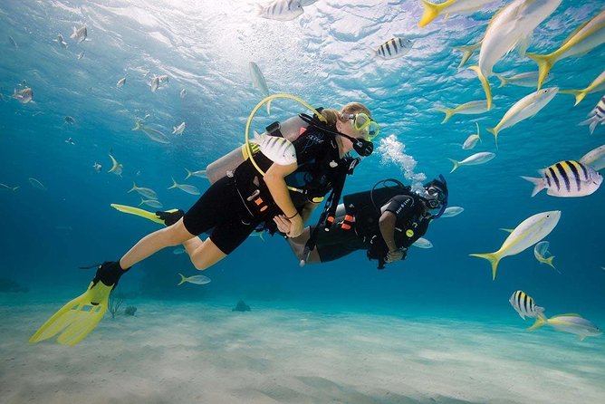 Discover Scuba Diving Experience Inclusions And Meeting Details