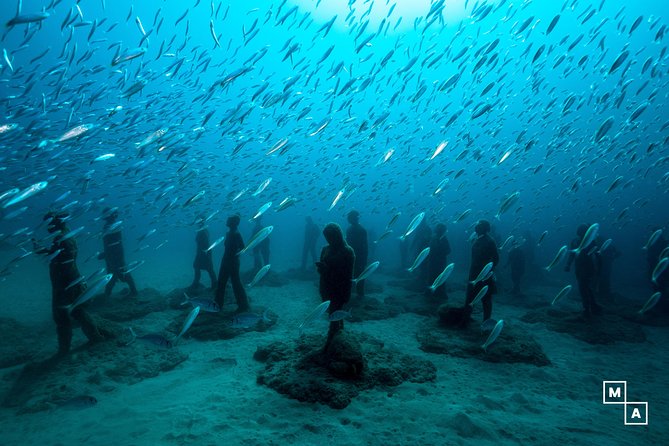 Discover The Underwater World Of Lanzarote Key Points