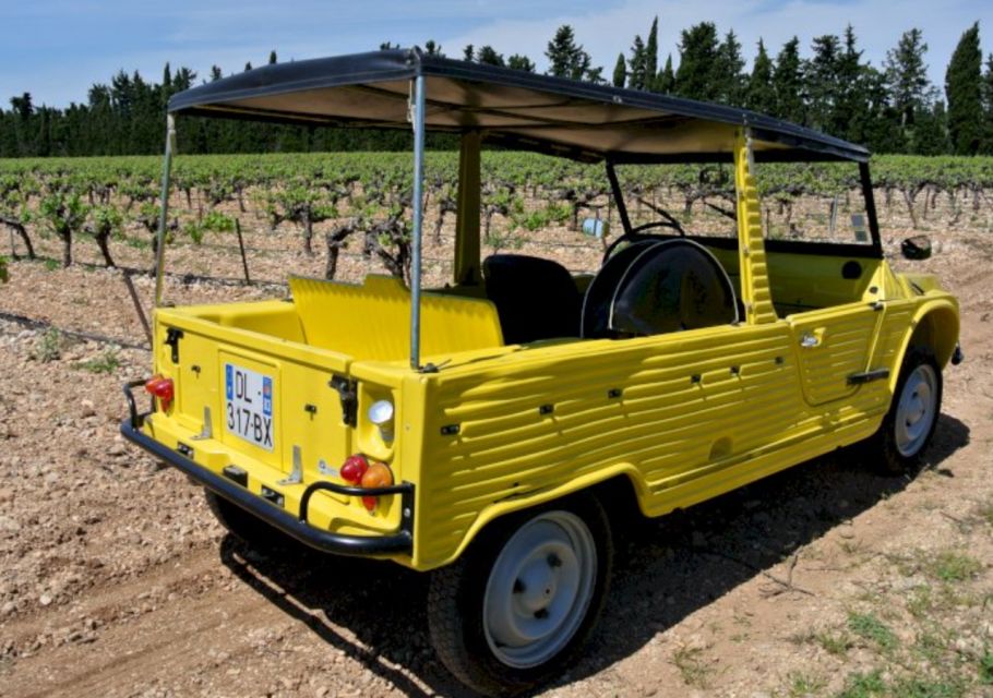 Discovering Provence by Camel - Vintage Car Rental Experience